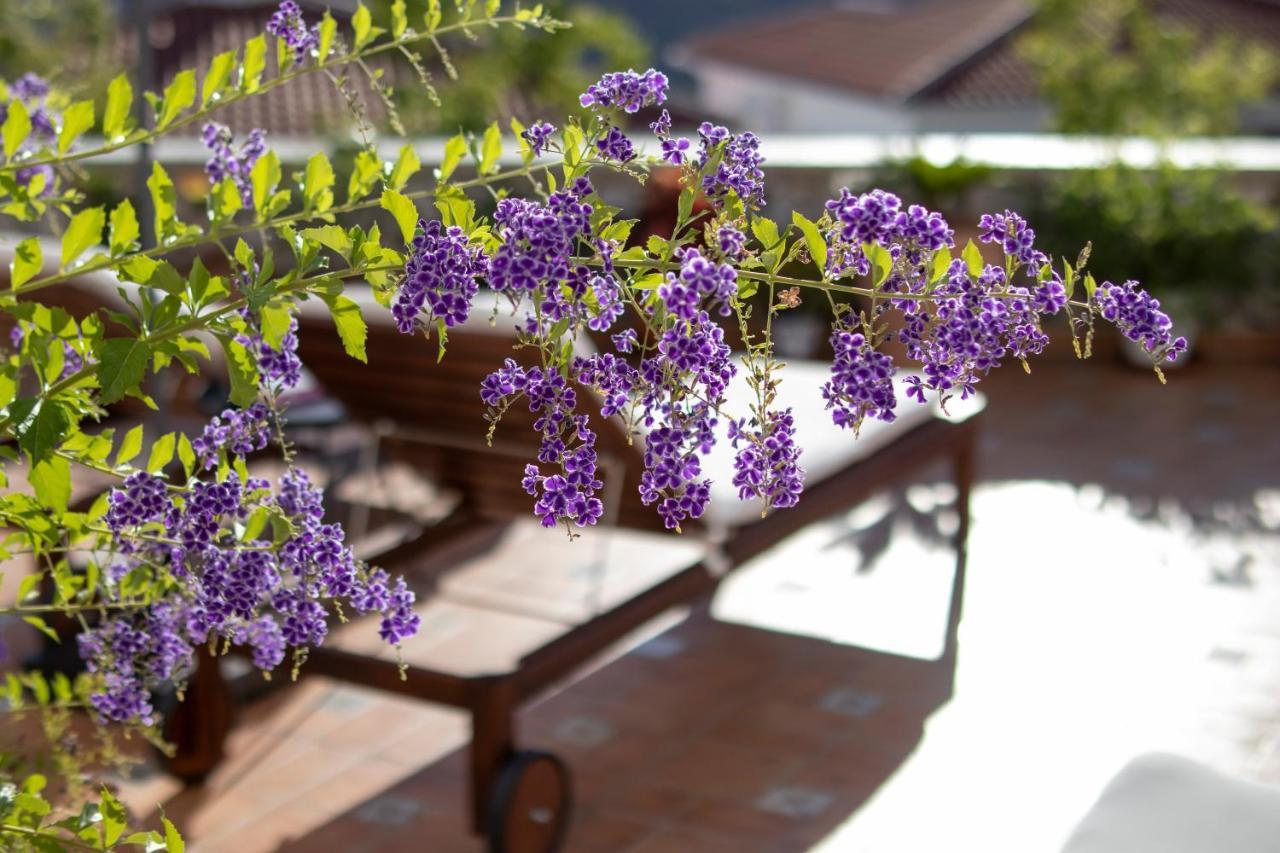 Malaga Hills Double Comfort Boutique & Wellness Eco-Hotel -Adults Only- Компета Экстерьер фото